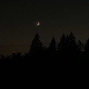 Meet your Posher, Princes joy